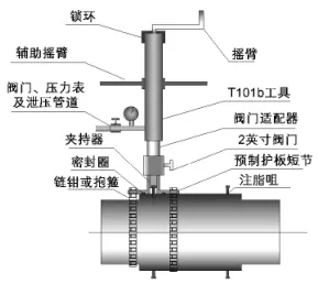 至尊国际 – 至尊效劳,至尊享受