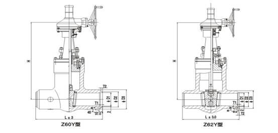 至尊国际 – 至尊效劳,至尊享受